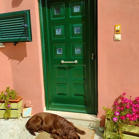 Margarita Paxos - Kam Apartman *